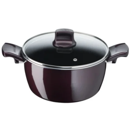 Tefal Stewpot 22cm G6 Resist Intense + Glass Lid