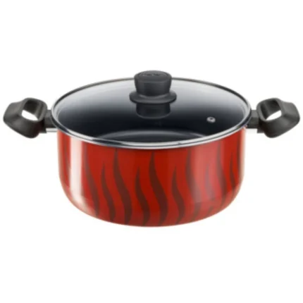 Tefal Tempo Flame - Stewpot 26 + Glass Lid