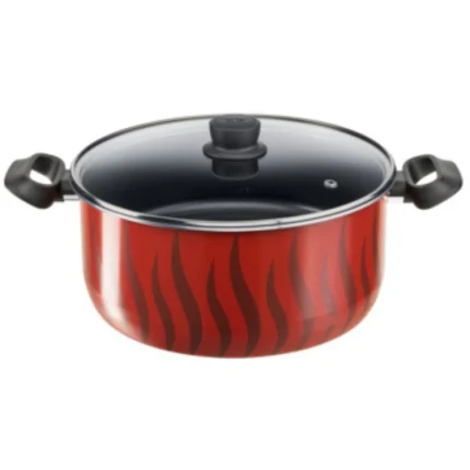 Tefal Tempo Flame - Stewpot 30 + Glass Lid