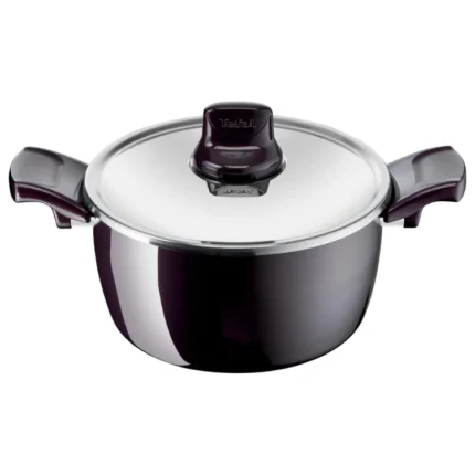 Tefal Resist Intense Stewpot